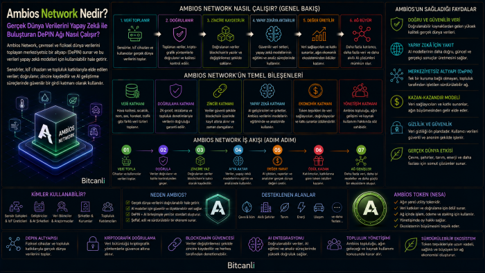 Ambios Network Nedir? Gerçek Dünya Verilerini Yapay Zekâ ile Buluşturan DePIN Ağı Nasıl Çalışır?
